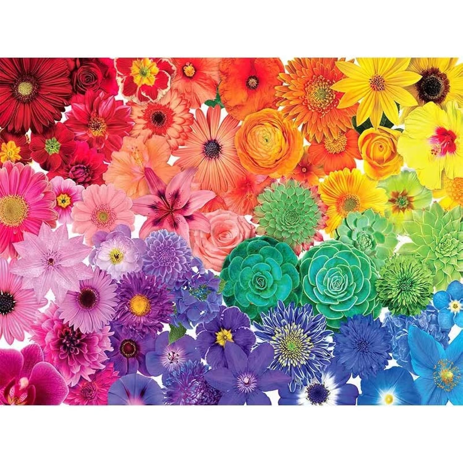 1000 Piece Puzzle For Adults - Flowers Puzzles For Adult 1000 Pieces Plants Jigsaw Puzzles 1000 Pieces For Adults Colorful Flower Puzzle For Adult Game, 27.5 * 19.7 Inch