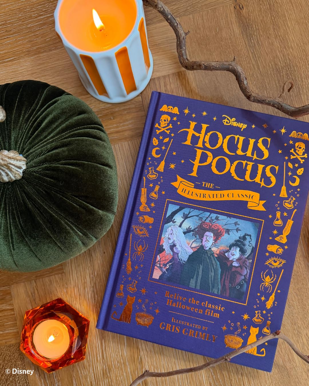 Disney Hocus Pocus the Illustrated Classic: Relive the classic Halloween film