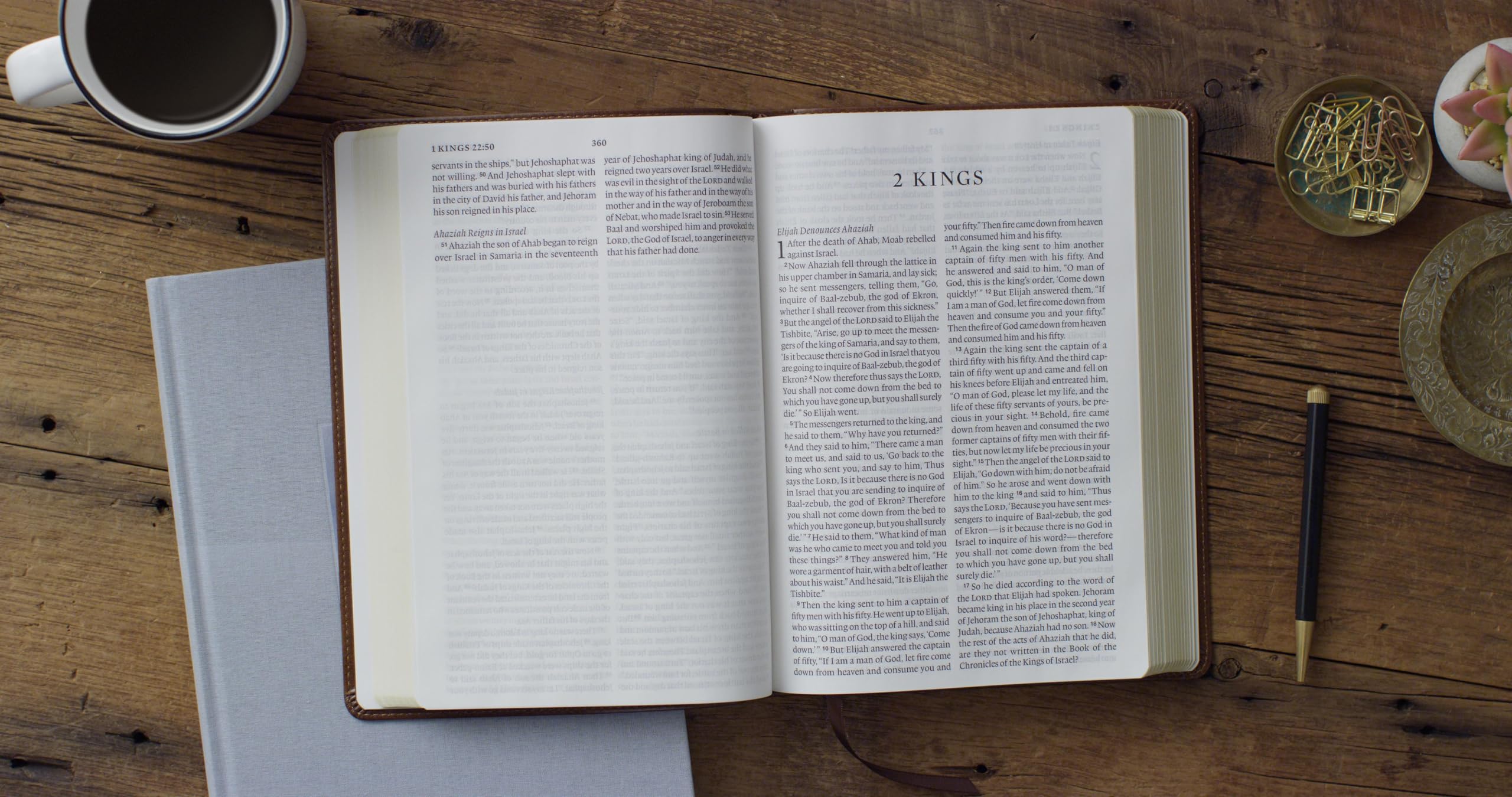 ESV Large Print Bible English Standard Version Trutone Deep Brown