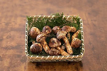 国産 長野県産 【天然 特大つぼみ 松茸 約330g前後】 特選品 3本 現品 国産 長野県産 【天然 特大つぼみ 松茸 約330g前後】 特選品 3本
