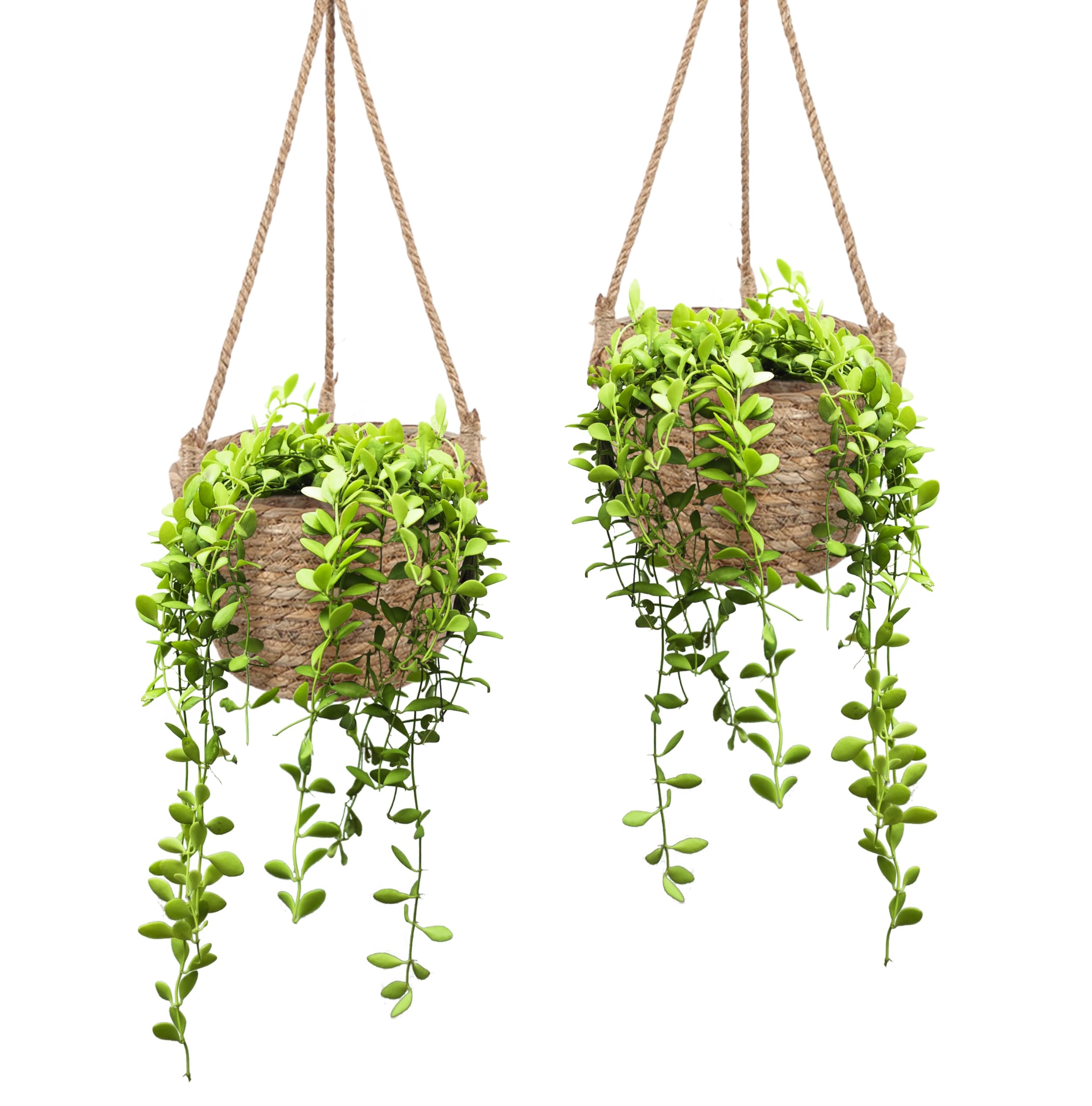 Olly & Rose Cesta colgante natural, paquete de 2 macetas para plantas de 18 cm de diámetro, 14 cm de alto, altura total de 48 cm, macetas colgantes para interiores