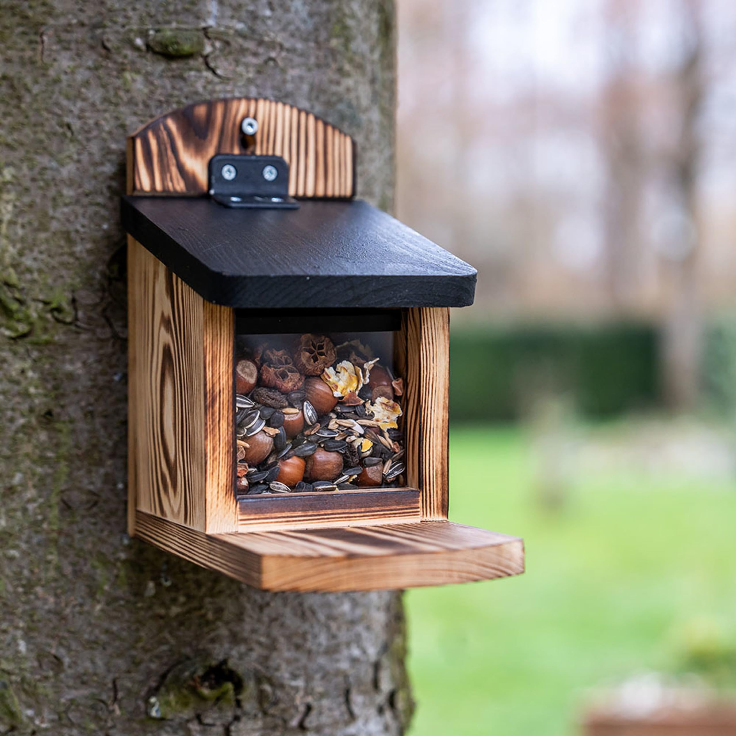 CJ Wildlife Eichhörnchen Futterhaus – Eichhörnchen Haus mit Futterstation – FSC Kiefernholz braun mit durchsichtigem Fenster – einzigartiges Flammen-Finish – leicht zu reinigen