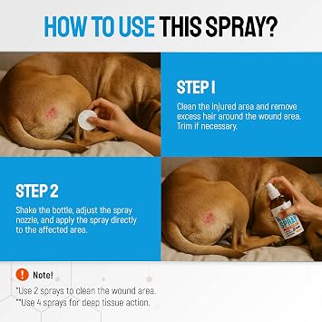 SILVER GRADE Dog Wound Spray Helps with Hot Spots, Irritations, Bites, Burns, Rashes, Itch, Scratching Better Use with a Dog Cone to Stop Licking Safe for Large and Small Breeds 4 oz