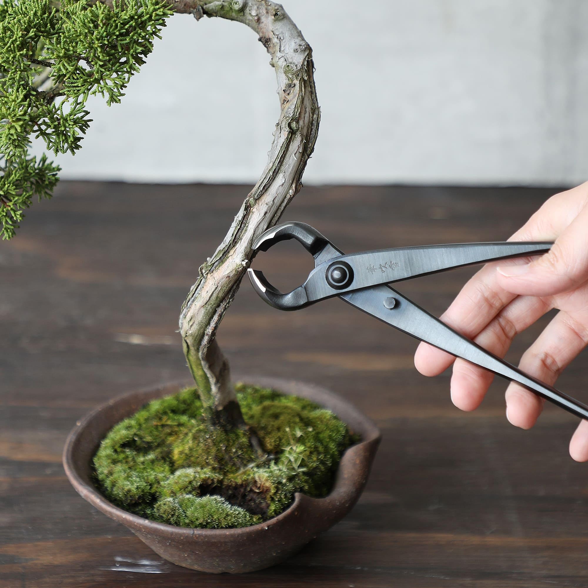 Wazakura Knospen-Bonsaischneider, 210 mm, Made in Japan – handgeschmiedetes japanisches Gartenwerkzeug, runde konkave Schneide, schwarzer Astschneider