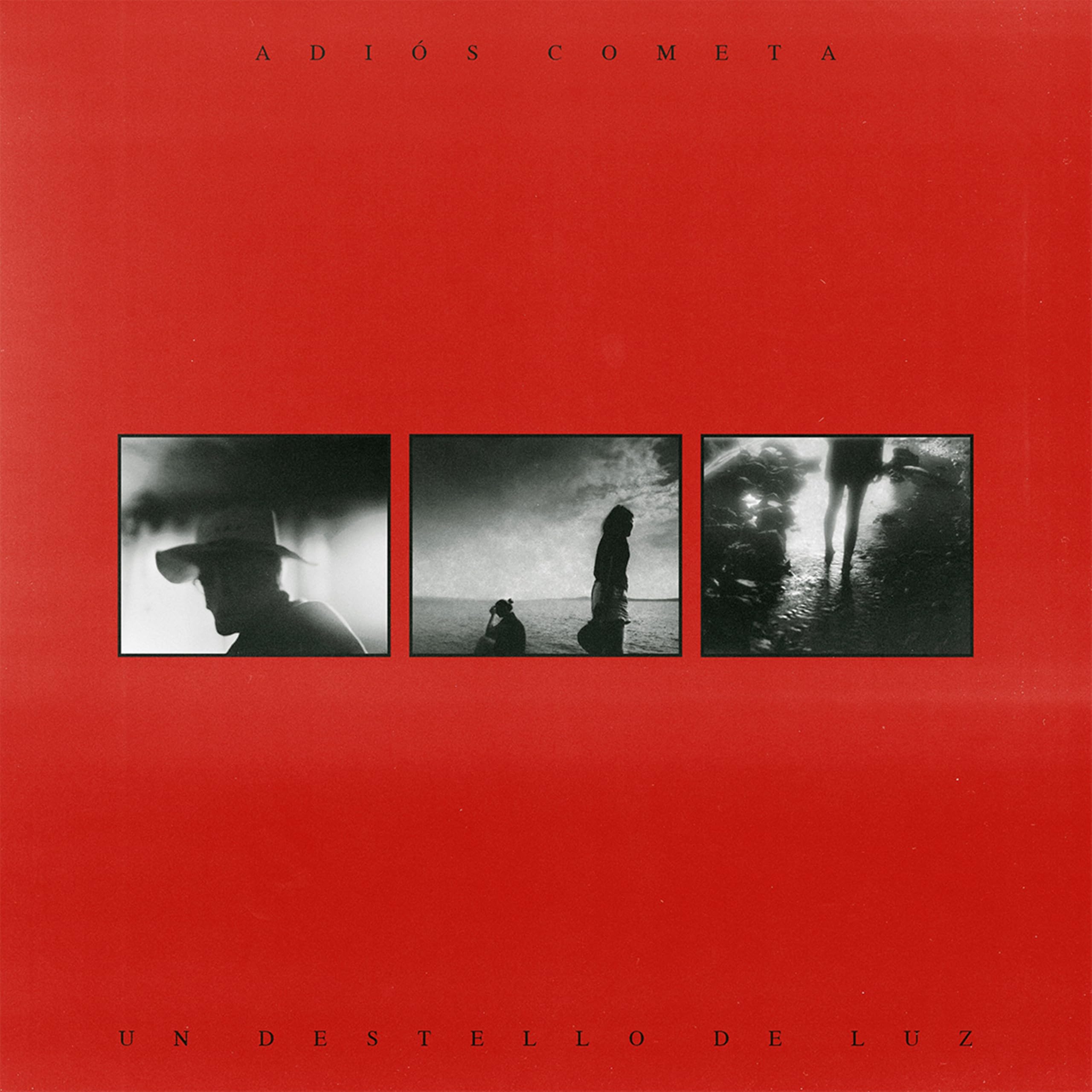 UN DESTELLO DE LUZ [VINYL]