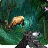 Fungaming Studio