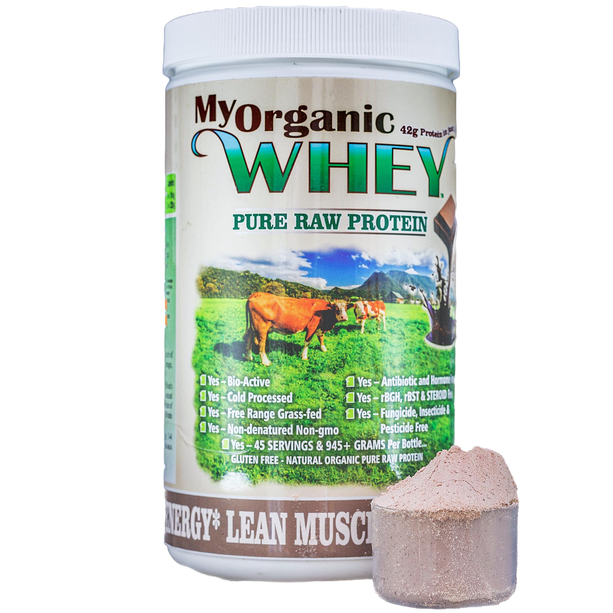Organic Whey Protein Powder, Grass-Fed Non-GMO Cold Process Grade-A Milk rBST Hormone-Free Chocolate Protein Powder, No Preservative or Additives Pure Whey Protein (42g of Protein in Just 2 Scoops)
