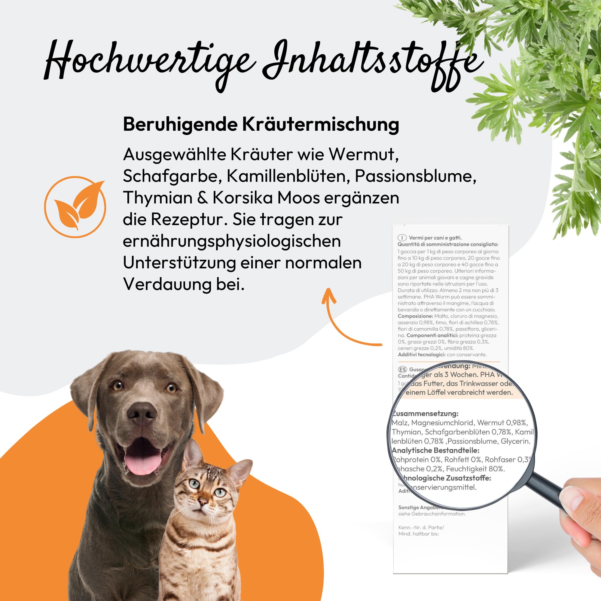 PHA Wurm Tropfen für Hund & Katze - mit Kräutern, Wermut, Schafgabe & Thymian zur natürlichen Darm Unterstützung & Einer normalen Verdauung, 50 ml