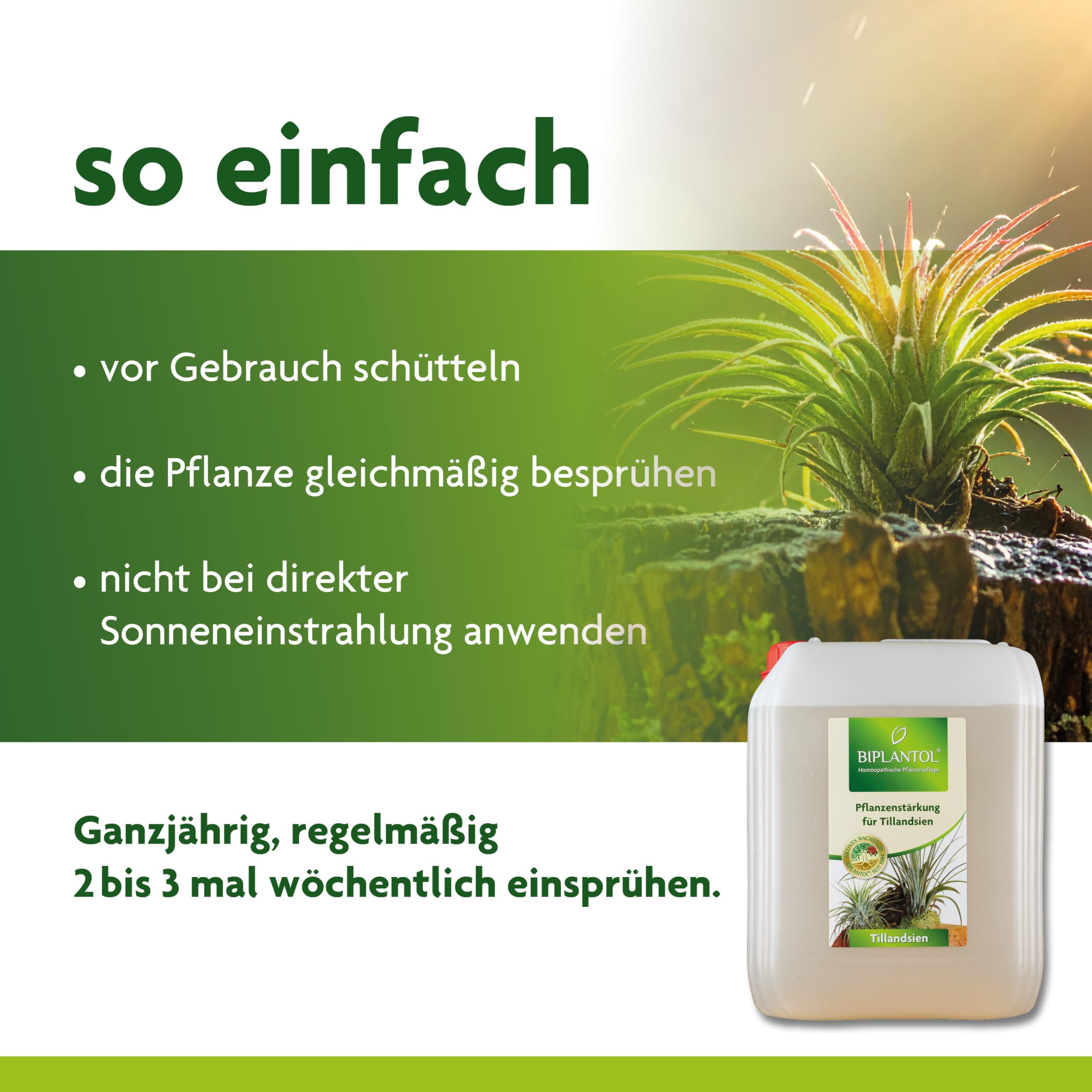 Tillandsien 5L – Natürliche Pflege für Tillandsien & Bromelien – Pflanzenstärkungsmittel zur Regeneration & Blühfreude – Ideal für epiphytische Zimmerpflanzen – Luftpflanzen