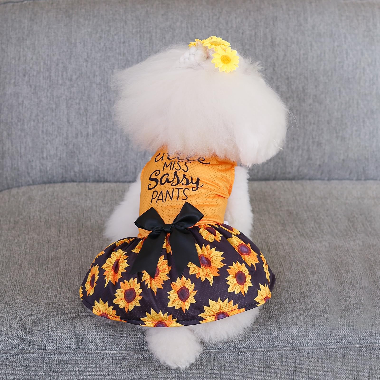 CuteBone Dog Mesh Dress Puppy Sundress Pet Outfit Summer Fashion for Small Dogs Girl Cat Clothes BF32XXS-D - 5
