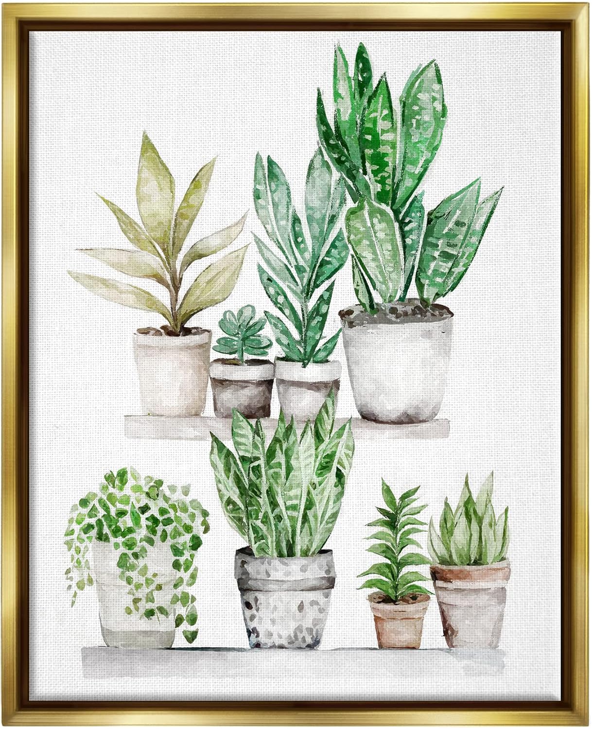 Stupell Industries Mixed Greenery Potted Ivy Plants Framed Floater Canvas Wall Art, Design by Ziwei Li