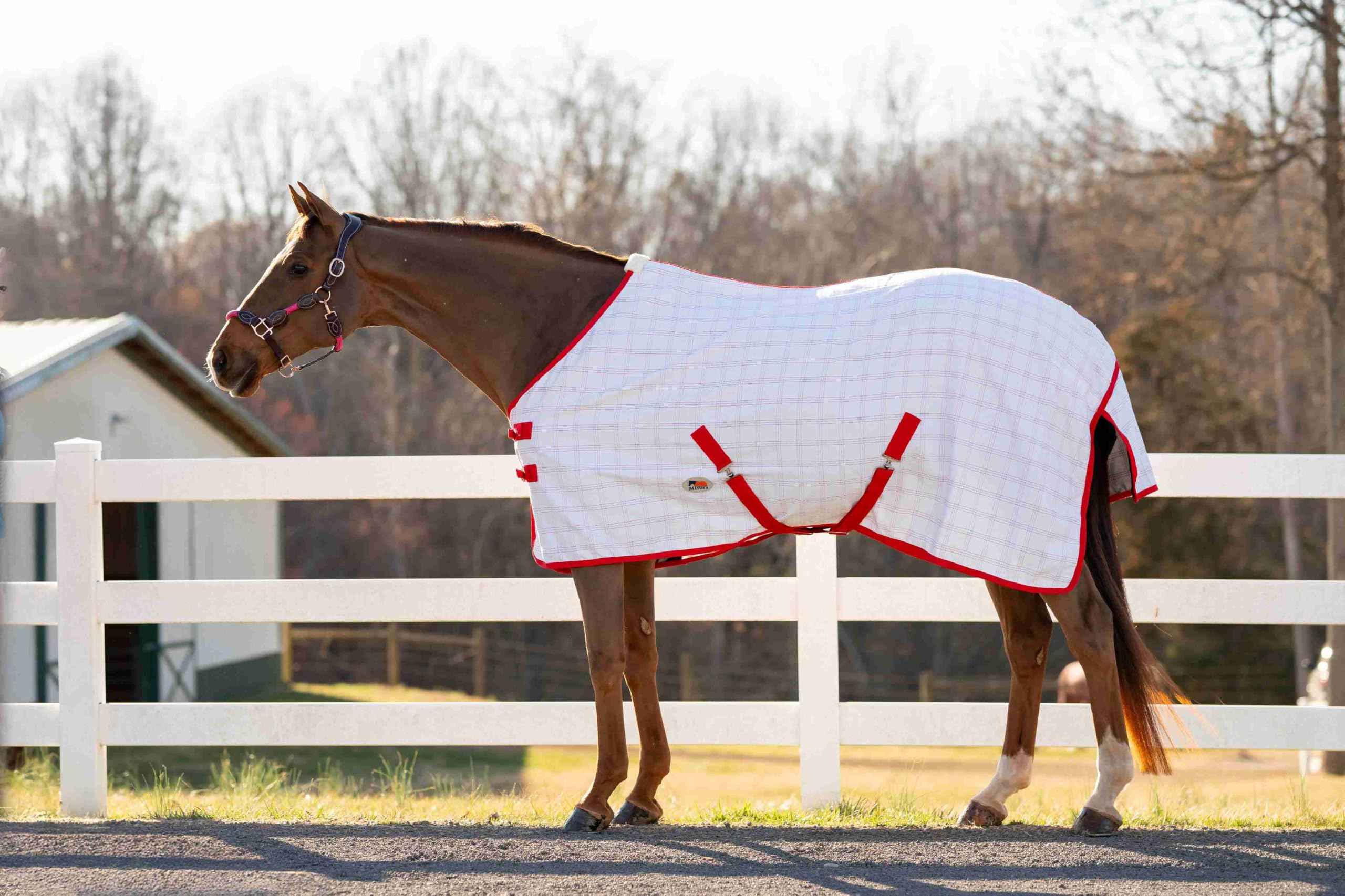 MIller's Aussie Ripstop Stable Sheet