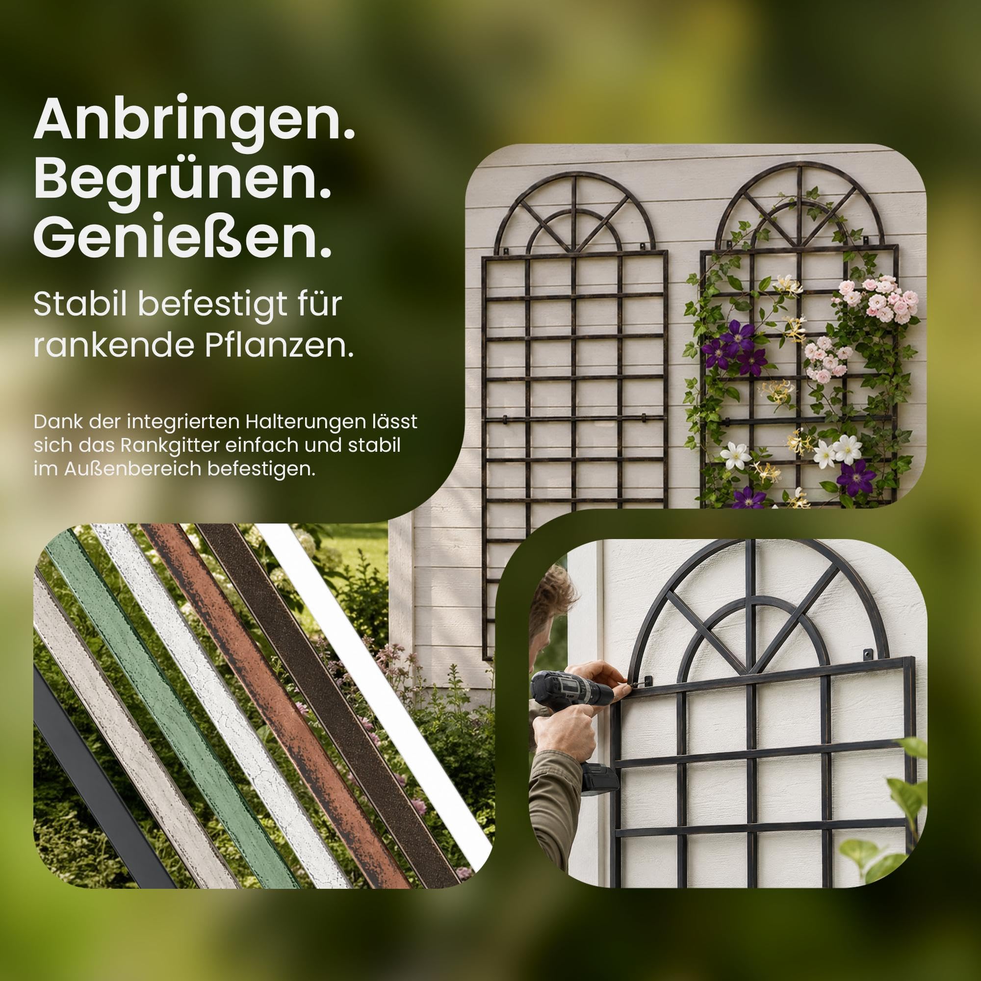 CLP Rankgitter Viva aus Eisen mit Rundbogen und integrierten Halterungen, ideale Kletterhilfe und Rankhilfe für Garten, Terrasse und Balkon | Farbe Bronze