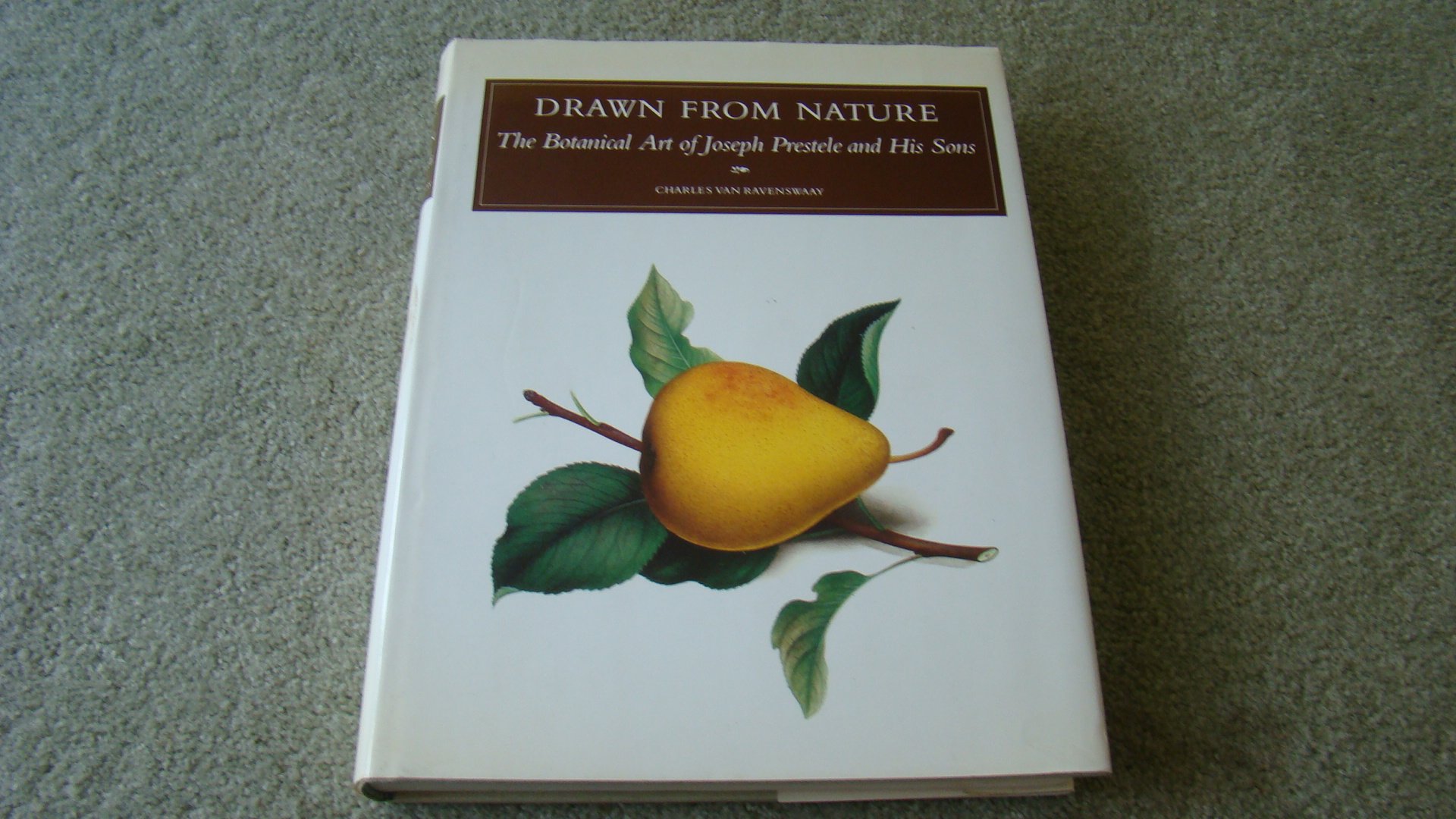 DRAWN FROM NATURE: The Botanical Art of Joseph Prestele and His Sons Paperback – September 1, 1984