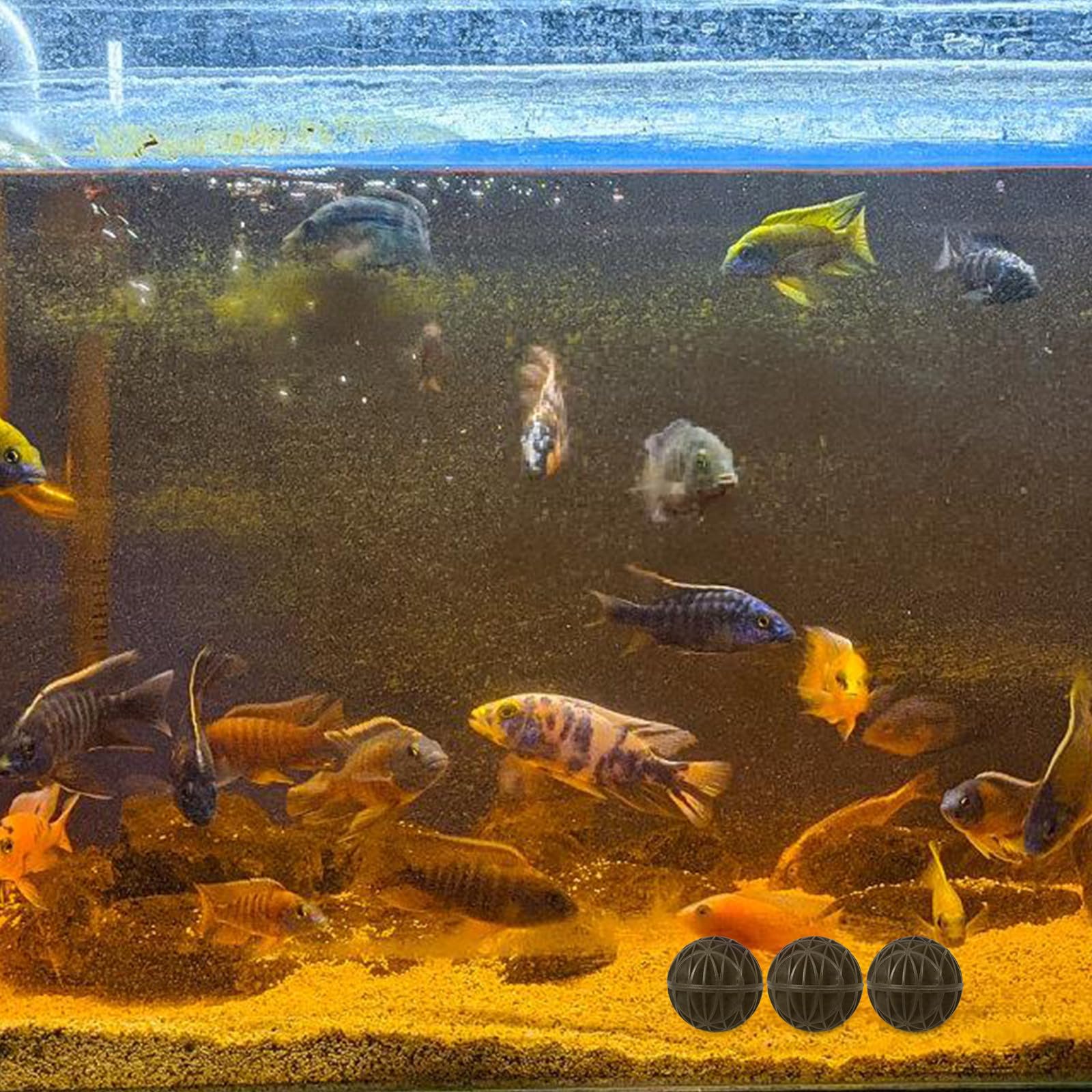 Toyvian 100 Pièces Bioballs pour Aquarium Noir en Plastique et Coton, Accessoires Filtrants Biologiques pour Aquarium d'eau Douce, Réduisent la Mortalité des Poissons et Augmentent