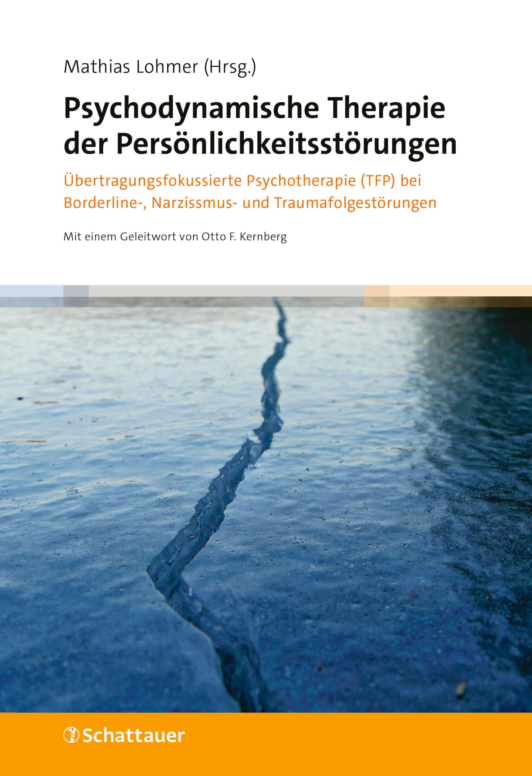 Psychodynamische Therapie der Persönlichkeitsstörungen: Übertragungsfokussierte Psychotherapie (TFP) bei Borderline-, Narzissmus- und Traumafolgestörungen