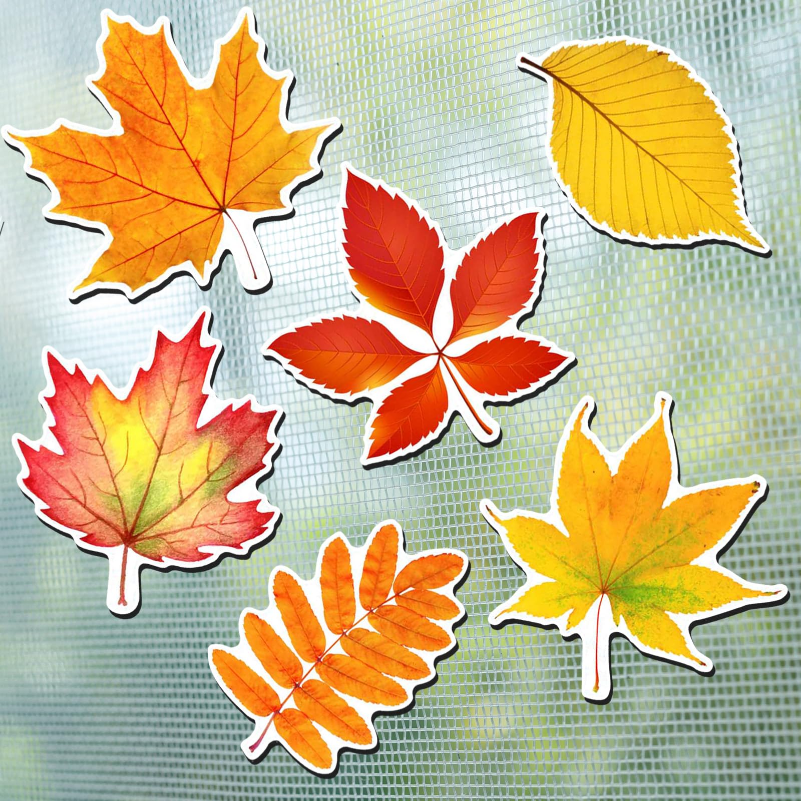 Hicarer 12 Pcs/6 Pairs Thanksgiving Maple Leaf Flexible Magnets - Autumn Falling Leaves for Window Sliding Door Screen Decoration - Fall Double Sided Door Magnet