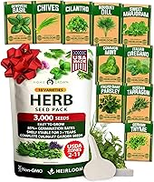 Vista 14 de HOME GROWN Semillas de eneldo sin OMG para plantar 1,014 ramos de semillas de eneldo y semillas de hierbas tradicionales para plantar al aire libre