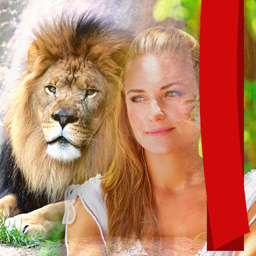 Cadres photo de lion