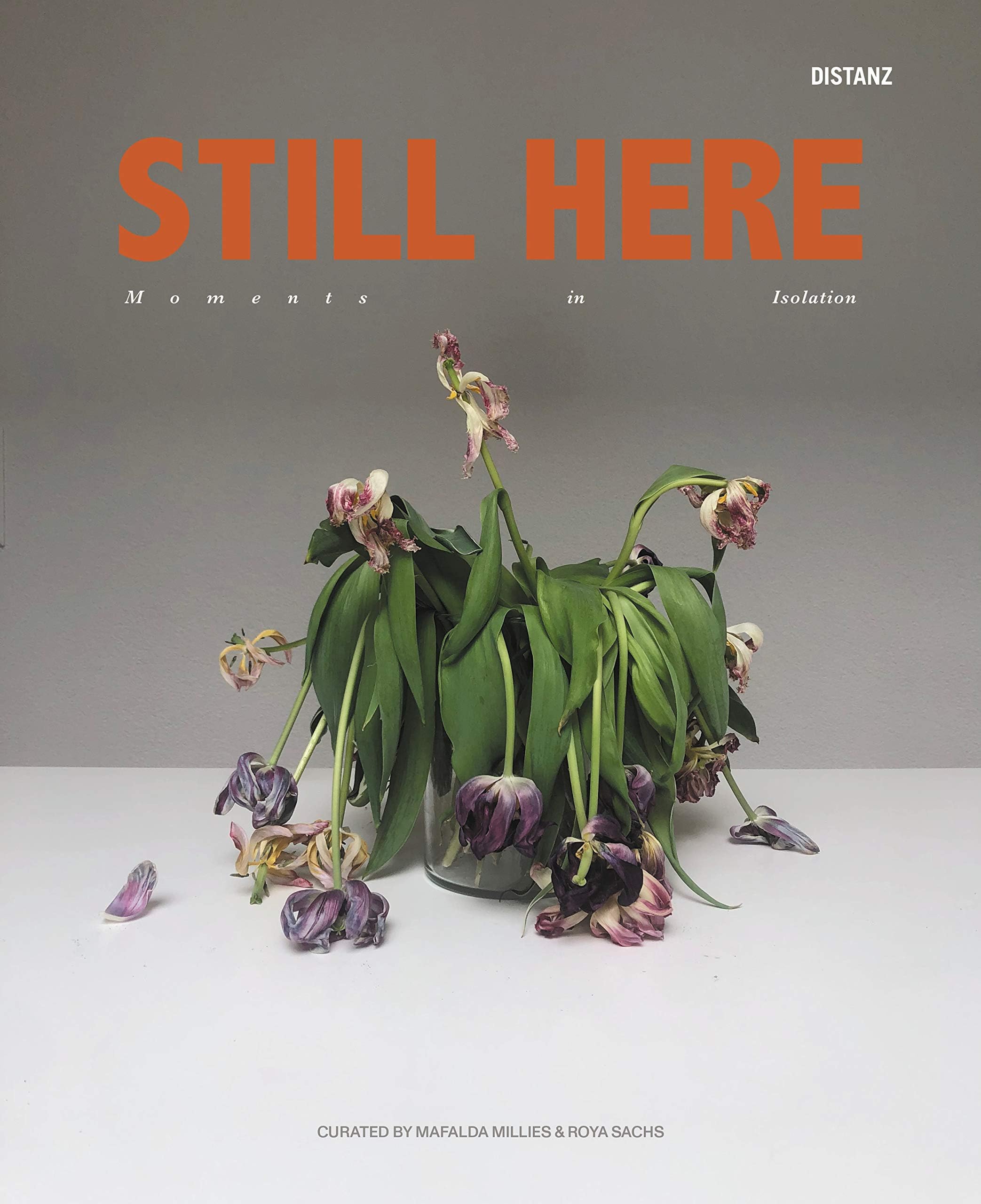 Still Here: Moments in Isolation