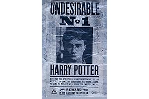 Trends International The Wizarding World: Harry Potter - Undesirable Wall Poster, 22.375"...