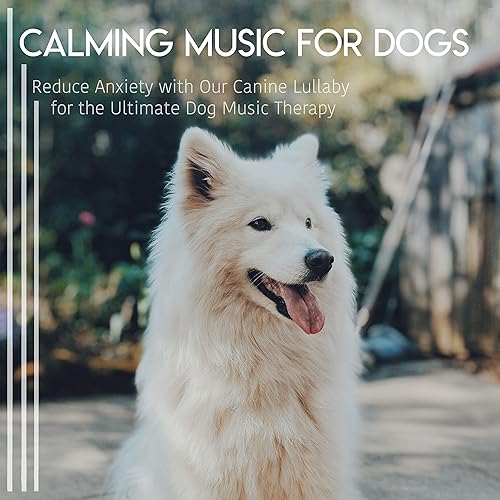 dog music dreams & relaxmydog calm my dog