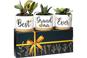 Best Grandma Ever Planters: Thoughtful Gifts for Grandmothers
