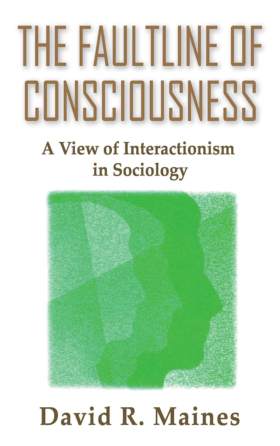 The Faultline of Consciousness: A View of Interactionism in Sociology (Sociological Imagination & Structural Change Series)
