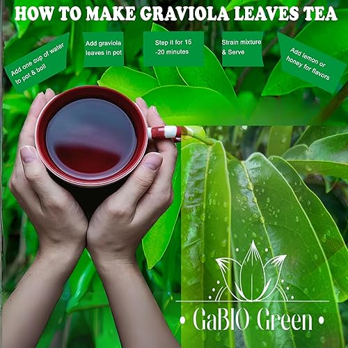 Miniatura 3 de Gabio Green - Hojas de guanábana, Graviola, 12 libra  (8 onzas), Hojas de guanabana por Gabio Green, guanábana de té, bolsa resellable, hierbas