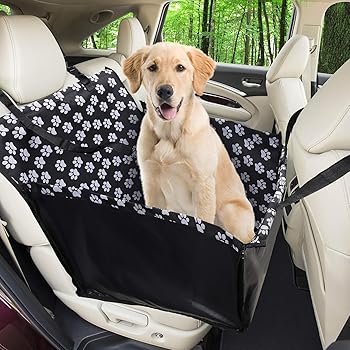 dog basket for car