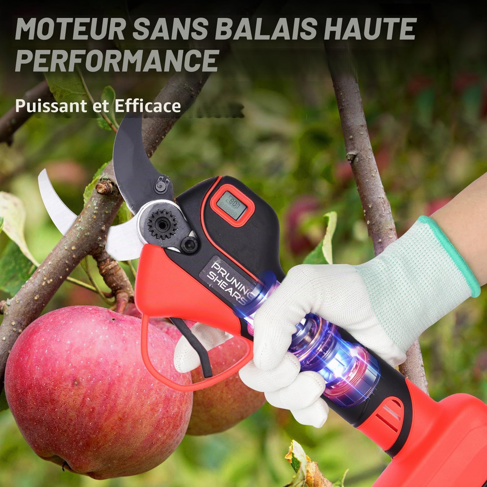 Sécateur Électrique Télescopique 50MM avec 2 Mètres Perche: Secateur Electrique Sans Fil avec 2 x 2.0Ah Batterie Élagueuse,Diamètre De Coupe 30/50 mm, Secateur de Jardin pour Hedge, Arbre, Fruits