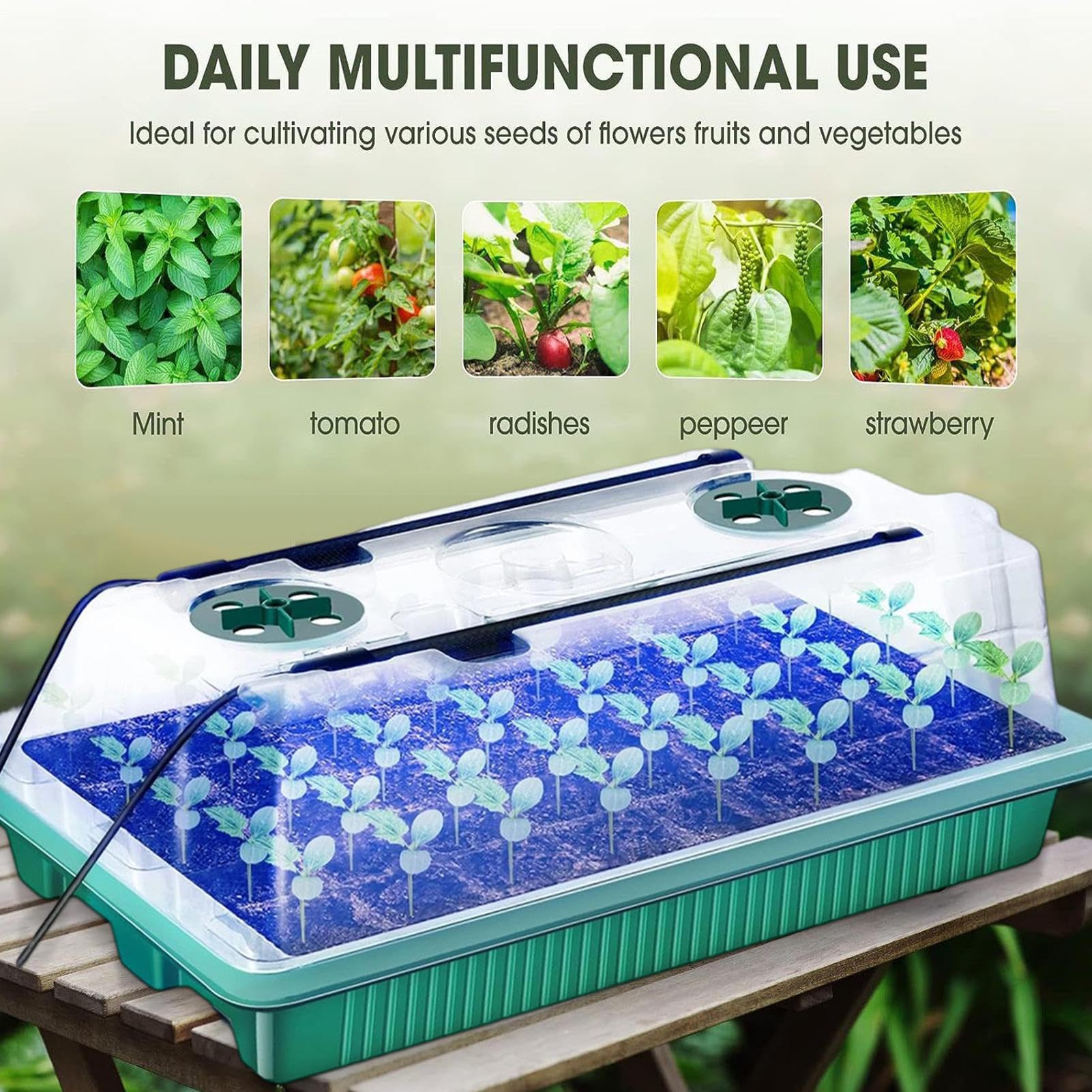 Kit de Germinación Maceta de Jardinería con 40 Alvéolos y Luz de Cultivo | Maceta de Vivero para Cultivo en Invernadero Interior para Cultivo de Verduras y Flores en Hogar Balcón Patio Jardín y Of