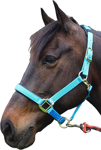 Miniatura 2 de T TEKE Cabestros ajustables para caballos de nailon suave resistente, acolchados con neopreno gofre antiroces tanto en corona como en nariz