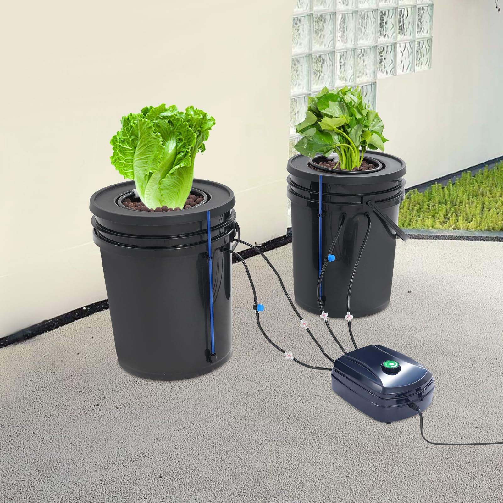 Sistema di coltivazione idroponica DWC Sistema di irrigazione automatico con 2 secchi da 5 gal e 12 W pompa dell'acqua, 2 pezzi Top Drip Kit per la coltivazione di fiori, verdura, frutta