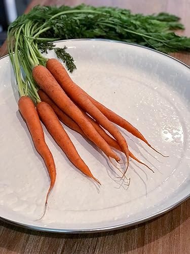 Miniatura 3 de Golden Rabbit Enamelware - Bandeja mediana de 15.5" (blanco sólido)