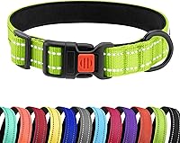 Vista 71 de CollarDirect Reflective Dog Collar for a Small, Medium, Large Dog or Puppy with a Quick Release Buckle - Boy and Girl - Nylon Suitable for Swimming