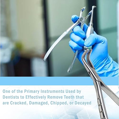 Vista 34 de Pinzas universales de extracción dental alemana, para extraer molares inferiores del hueso alveolar, mandíbulas dentadas, hechas de acero inoxidable