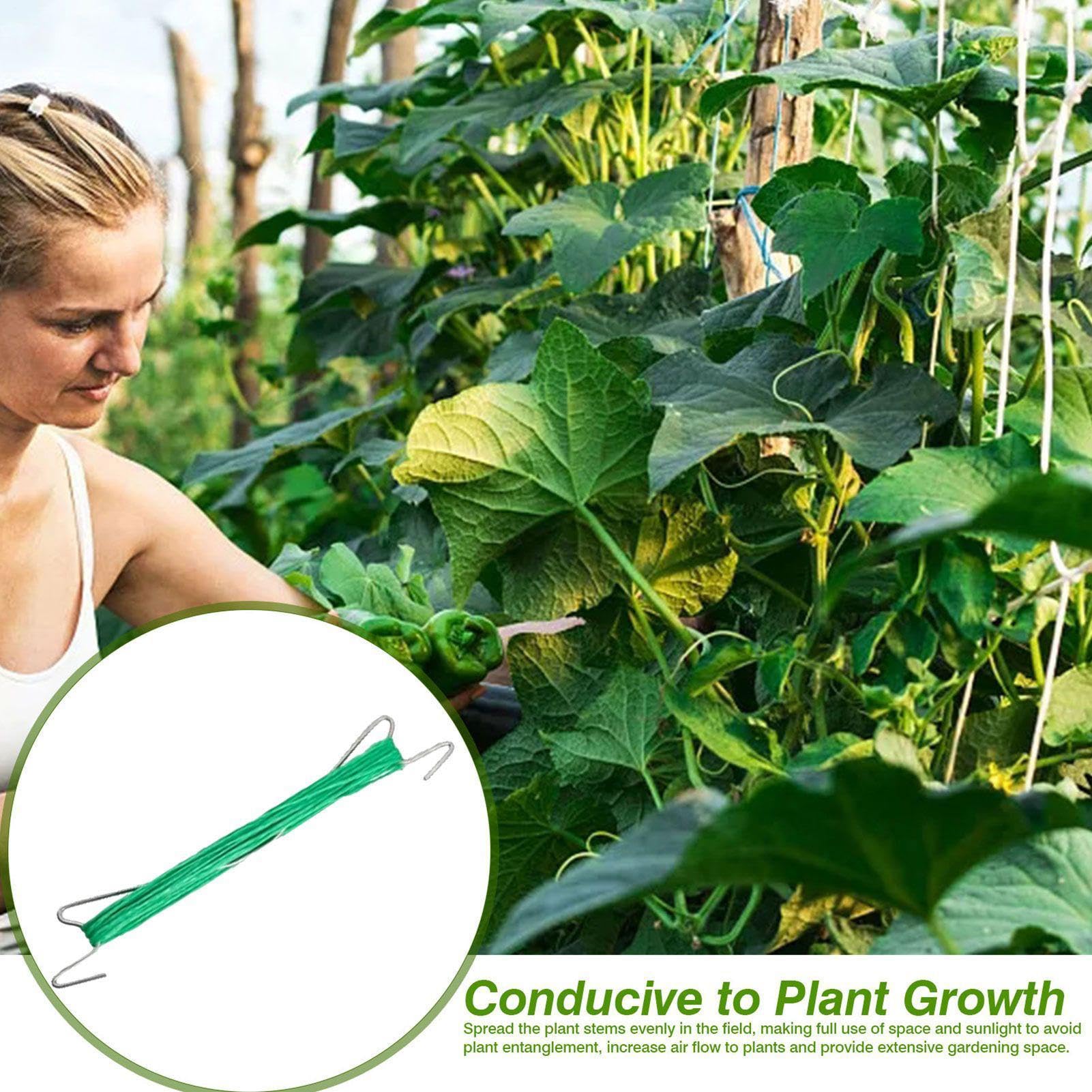 Ganci per Pomodori Anti-Pizzicamento Supporto Robusto | 40 Pezzi Doppi Ganci per Pomodori con Spago Incluso Per Cetrioli, Frutta, Colture, Interno Ed Esterno, Giardino, Fattoria,