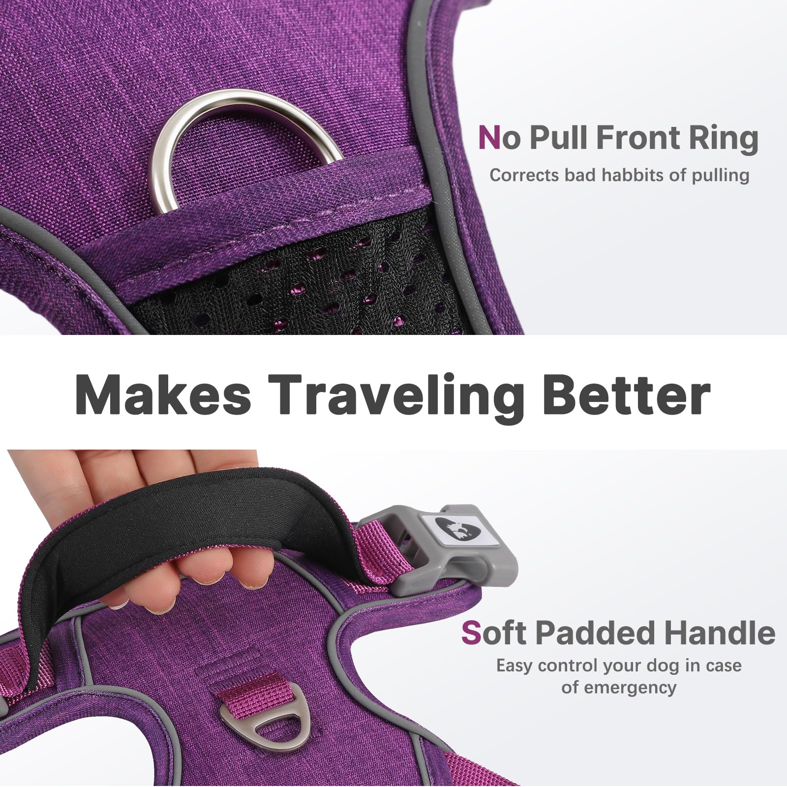 View 4