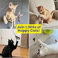 Vista 4 de Feather Toys Replacements (3 Pc) - Cat Toys & Kitten Toys for Indoor Kittens, Set of Replacement Feather Attachments Extra Small and Durable, for