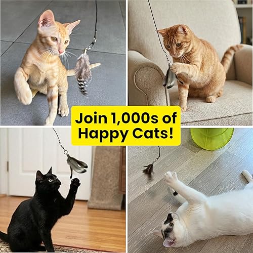 Miniatura 4 de Feather Toys Replacements (3 Pc) - Cat Toys & Kitten Toys for Indoor Kittens, Set of Replacement Feather Attachments Extra Small and Durable, for