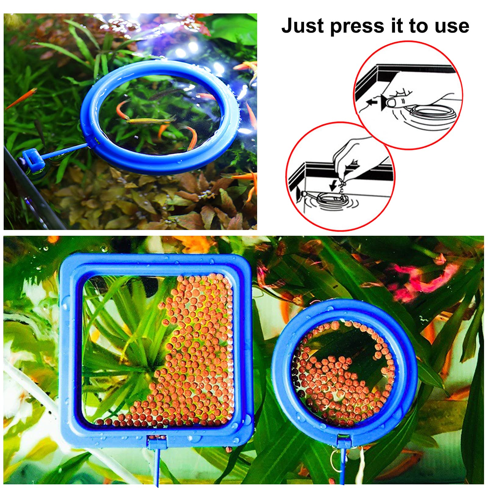 Molain Fisch Futterring, 2 Stück, Fisch Futterspender für Aquarium, Fischschildkröte, Zubehör für Guppy, Bettas, Goldfisch, Schildkröte (Blau)