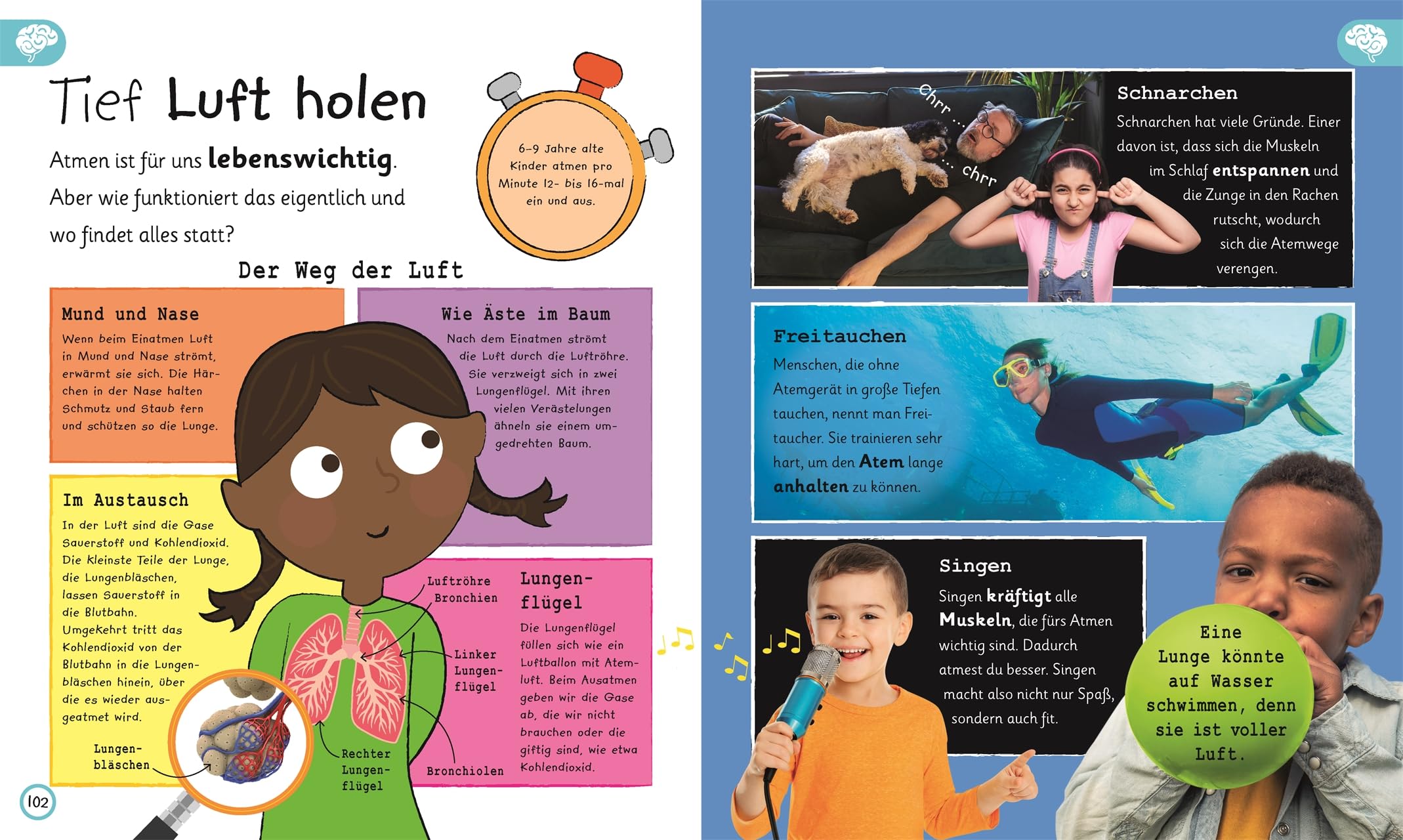 Wissen für Vorschulkids. Was weißt du über den Körper?: Erstes großes Körper-Sachbuch mit Fotos und Lesebändchen. Für Kinder ab 4 Jahren