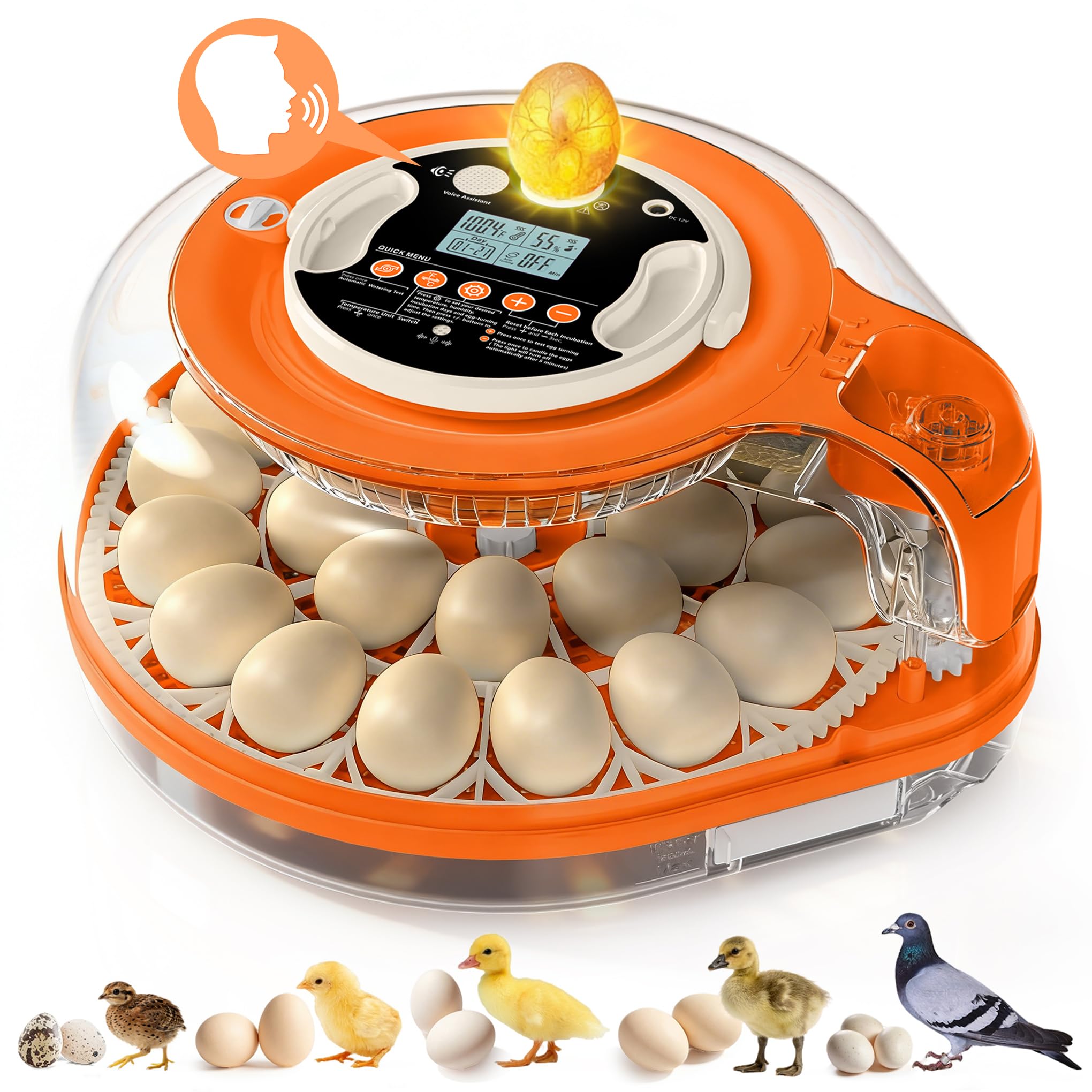 Voice Control Incubator