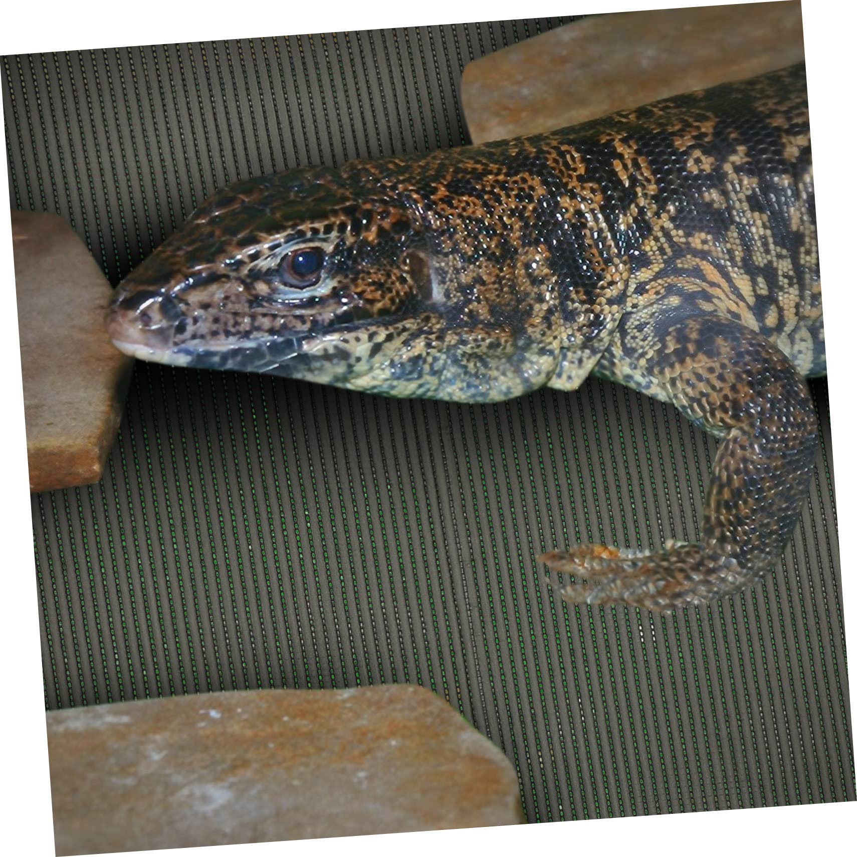 Kisangel Reptilien Waschbar und Wiederverwendbar aus Polyester Terrariummatte Zuschneidbar für Schildkrötengehege und Terrarium | Wiederverwendbar und Waschbar, für Schildkröten als Einstreu 1 Matte, Pflegeleicht
