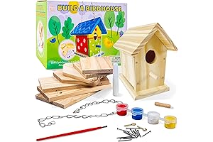 Hapinest Build and Paint a Wooden Birdhouse Kit for Kids