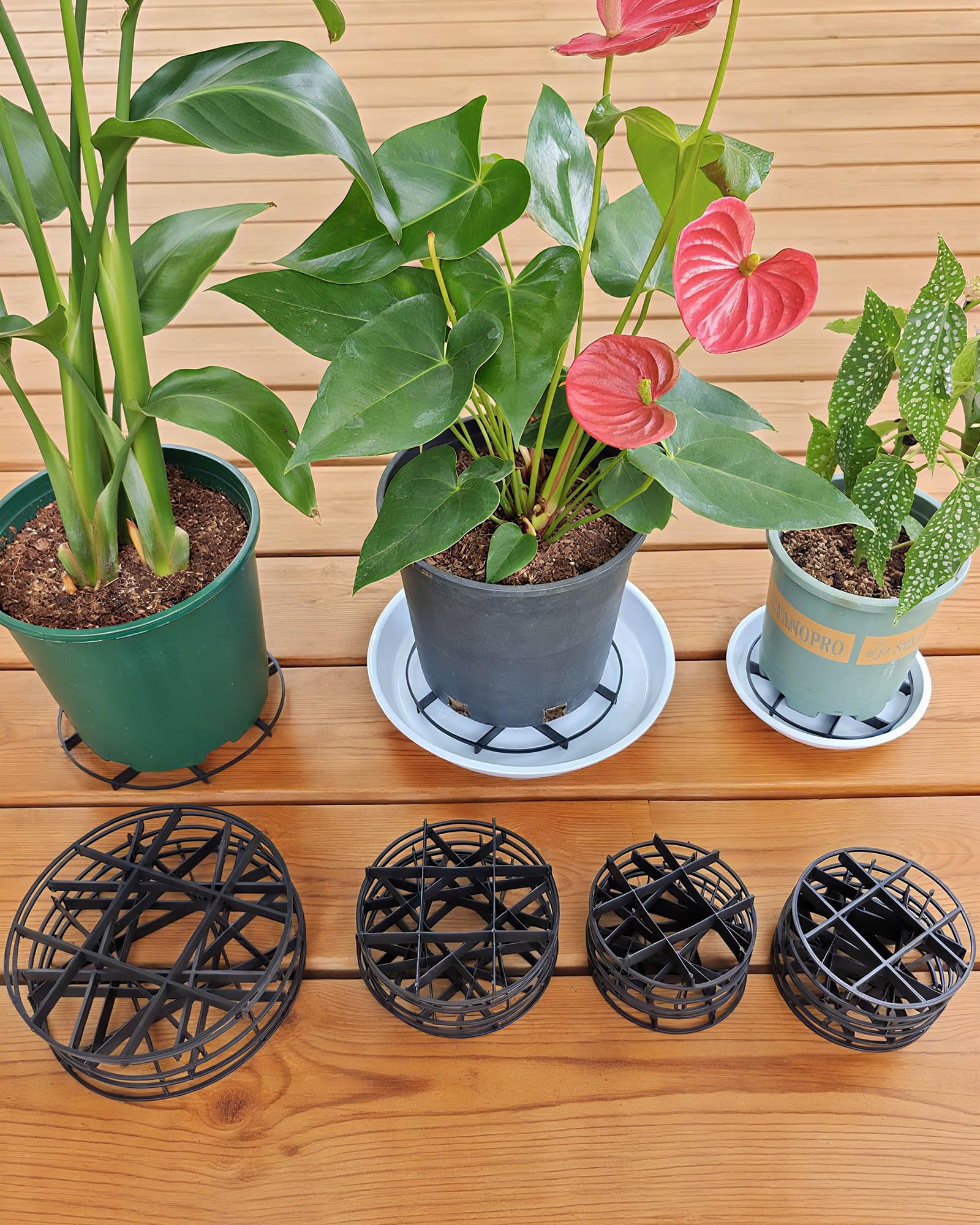 Amazon.com : ISYOKE 21 Pack Plastic Plant Saucer Stand, 5 7 8 Inch Flower Pot  Feet Drainage Risers Elevator, Plant Pot Risers for Indoor Outdoor Use  ,Improve Drainage, Ventilation & Stability : Patio, Lawn & Garden