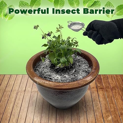 Miniatura 3 de Control de insectos y plagas, polvo de menta de tierra de diatomeas, 1 libra