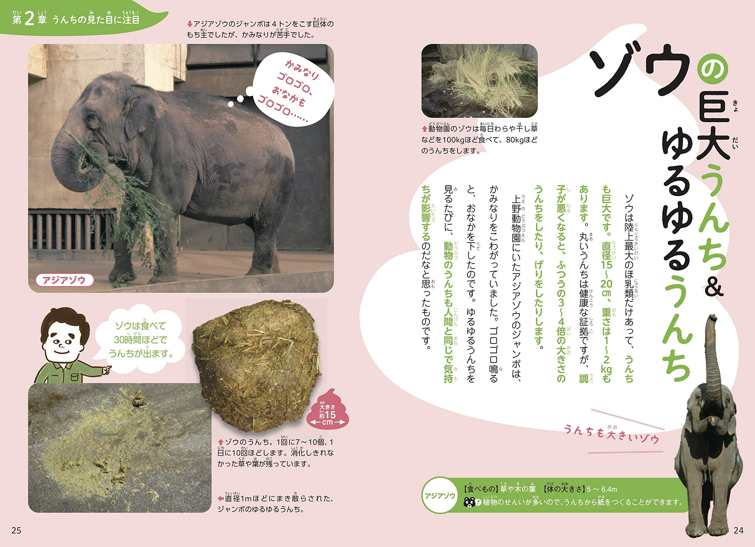 うんちくいっぱい 動物のうんち図鑑 小宮 輝之 本 通販 Amazon