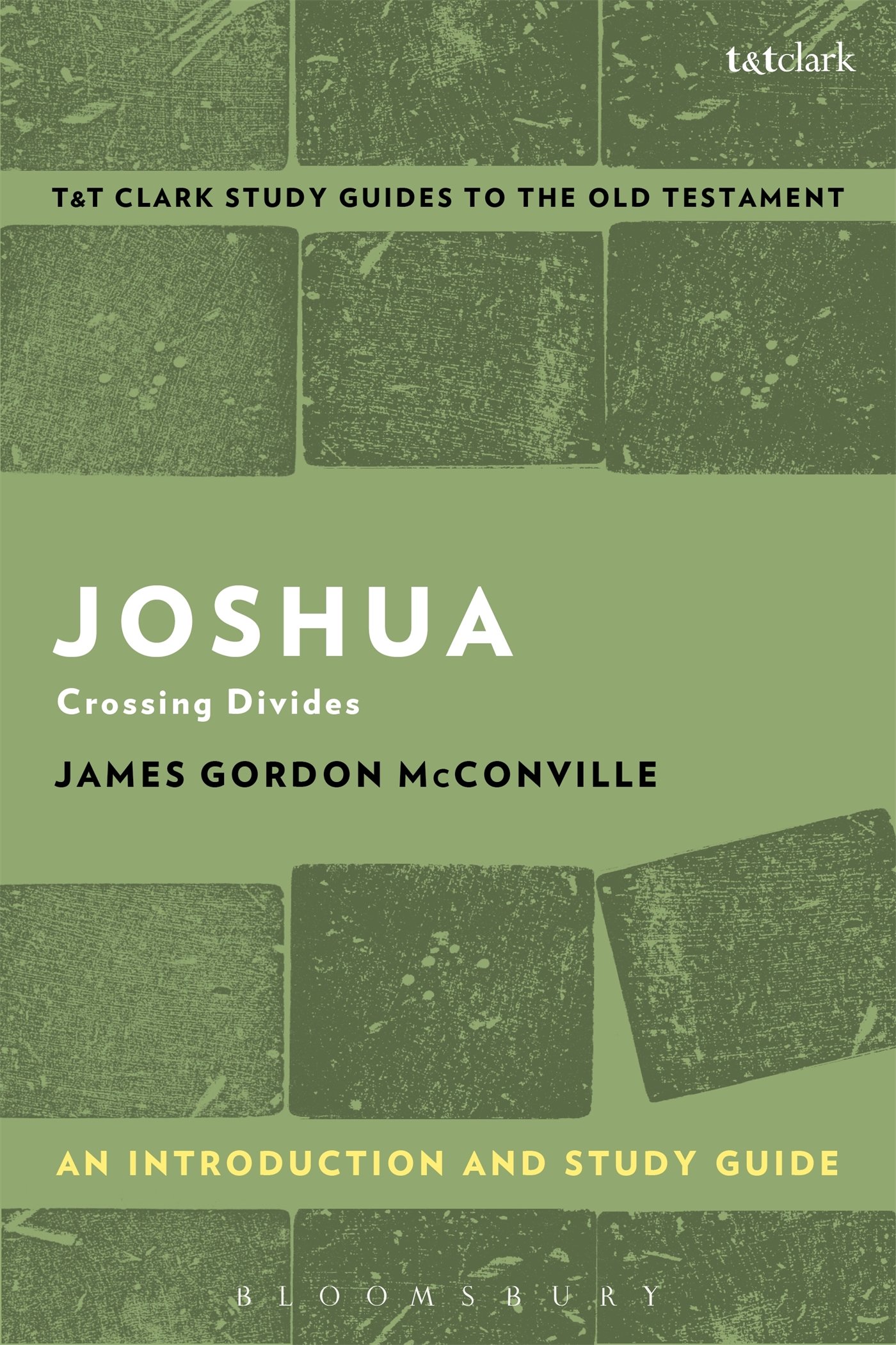 Joshua: An Introduction and Study Guide: Crossing Divides (T&T Clark’s Study Guides to the Old Testament)